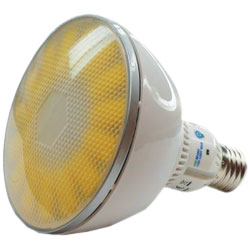 LAMPE A LEDs E27 PAR 38 BLANC FROID